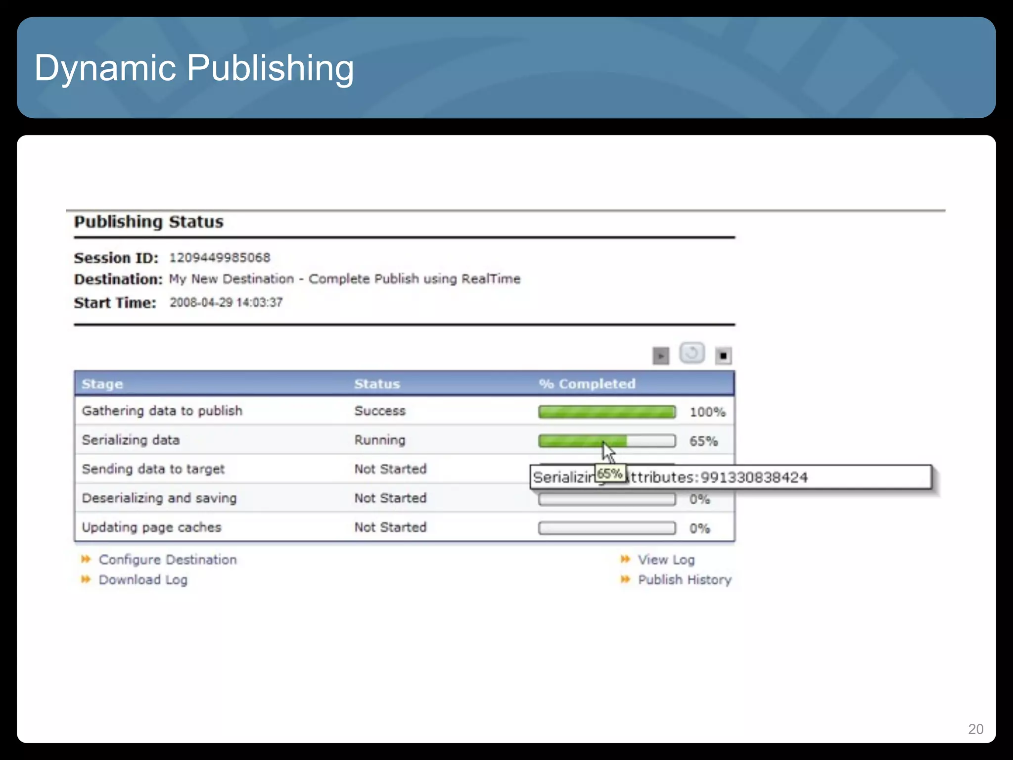 Dynamic Publishing




                     20
 