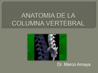 Dr. Marco Amaya
 