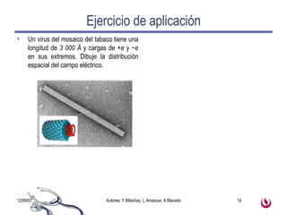 Ejercicio de aplicación Un virus del mosaico del tabaco tiene una longitud de  3 000 Å  y cargas de  +e  y  −e  en sus extremos. Dibuje la distribución espacial del campo eléctrico. 