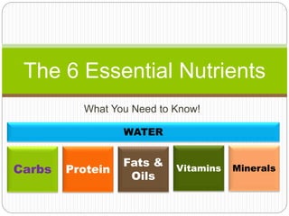 What You Need to Know!
The 6 Essential Nutrients
Carbs Protein
Fats &
Oils
Vitamins Minerals
WATER
 