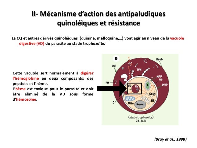 Médicaments antipaludiques quinoléiques et les marqueurs Médicaments antipaludiques quinoléiques et les marqueurs