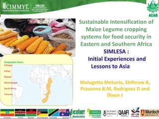Sustainable Intensification of
                      Maize Legume cropping
                    systems for food security in
                   Eastern and Southern Africa
                               SIMLESA :
Geographic focus
                       Initial Experiences and
Ethiopia
                        Lessons to Asia
Kenya

Malawi

Mozambique         Mulugetta Mekuria, Shiferaw B,
South Africa       Prasanna B.M, Rodriguez D and
Tanzania
                              Dixon J
 