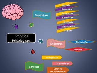 Procesos
Psicológicos
Cognoscitivos
Activadores
Genéricos
Atención
Sensación
Percepción
Aprendizaje
Memoria
Pensamiento
Lenguaje
Motivación
Emoción
Inteligencia
Personalidad
Conducta
Normal/Anormal
 