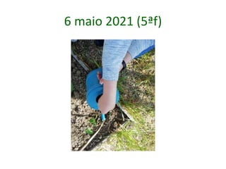 6 maio 2021 (5ªf)
 