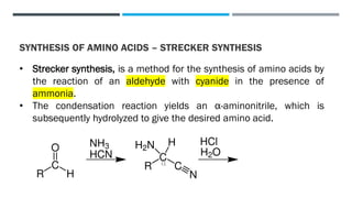 Amino acid synthesis Nucleic acids and their Applications | PDF