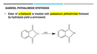 Amino acid synthesis Nucleic acids and their Applications | PDF