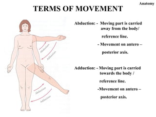 anatomy | PPT