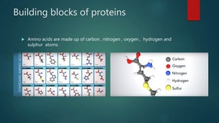 Protein motif analysis and optimization using neural algorithms | PPTX