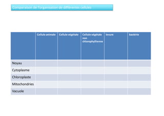 Cellule animale Cellule végétale Cellule végétale
non
chlorophyllienne
levure bactérie
Noyau
Cytoplasme
Chloroplaste
Mitochondries
Vacuole
Comparaison de l’organisation de différentes cellules