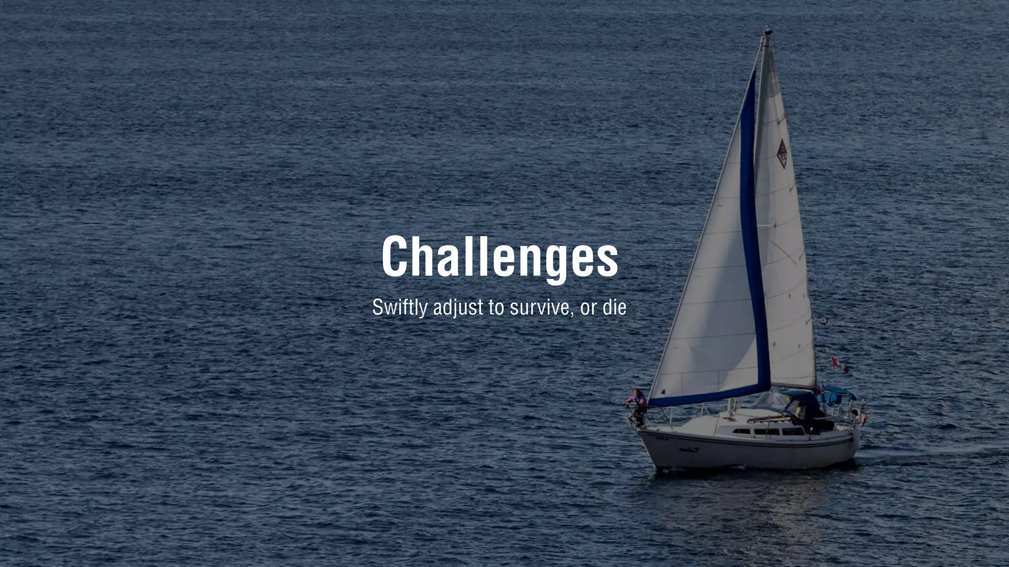 Challenges
Swiftly adjust to survive, or die
 