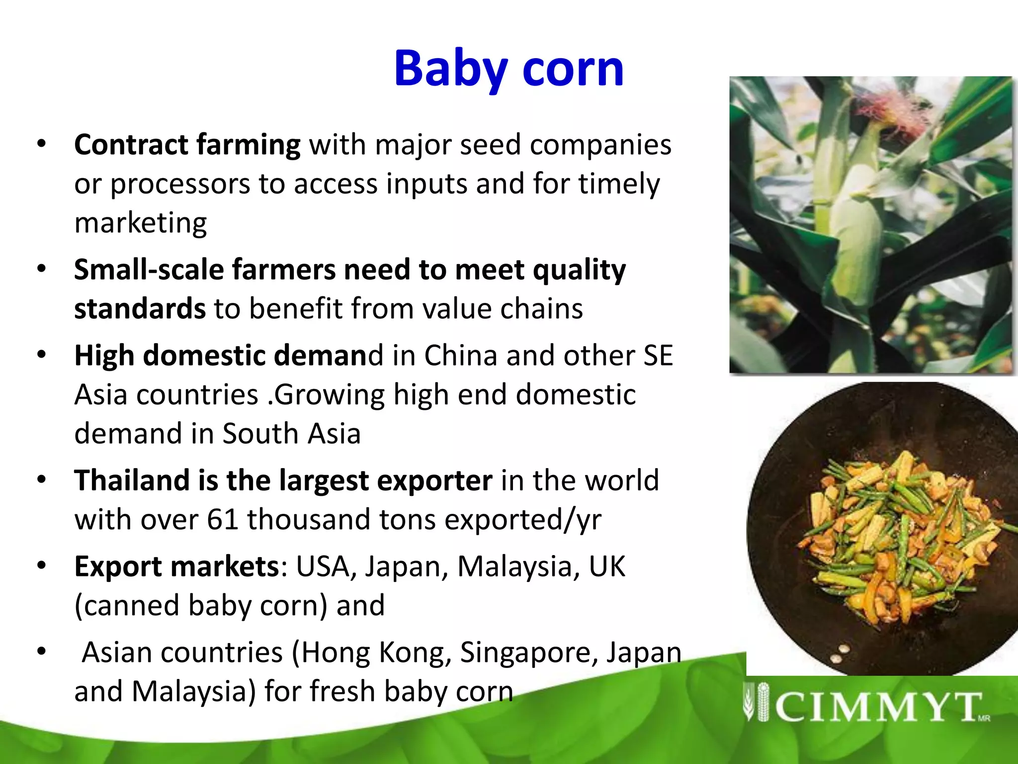 Baby corn
• Contract farming with major seed companies
  or processors to access inputs and for timely
  marketing
• Small-scale farmers need to meet quality
  standards to benefit from value chains
• High domestic demand in China and other SE
  Asia countries .Growing high end domestic
  demand in South Asia
• Thailand is the largest exporter in the world
  with over 61 thousand tons exported/yr
• Export markets: USA, Japan, Malaysia, UK
  (canned baby corn) and
• Asian countries (Hong Kong, Singapore, Japan
  and Malaysia) for fresh baby corn
 