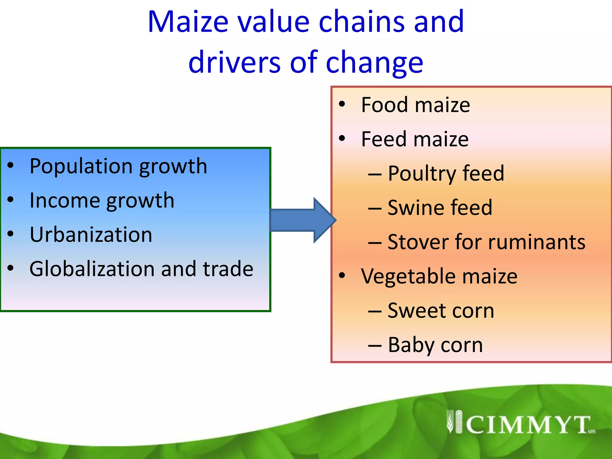 Maize value chains and
                  drivers of change
                              • Food maize
                              • Feed maize
•   Population growth            – Poultry feed
•   Income growth                – Swine feed
•   Urbanization                 – Stover for ruminants
•   Globalization and trade   • Vegetable maize
                                 – Sweet corn
                                 – Baby corn
 