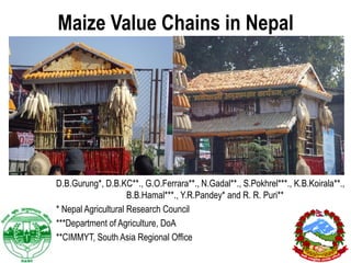 Maize Value Chains in Nepal




D.B.Gurung*, D.B.KC**., G.O.Ferrara**., N.Gadal**., S.Pokhrel***., K.B.Koirala**.,
                     B.B.Hamal***., Y.R.Pandey* and R. R. Puri**
* Nepal Agricultural Research Council
***Department of Agriculture, DoA
**CIMMYT, South Asia Regional Office
                                                                            1
 