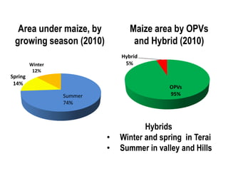 Area under maize, by            Maize area by OPVs
 growing season (2010)             and Hybrid (2010)
                               Hybrid
         Winter                 5%
          12%
Spring
 14%
                                             OPVs
                  Summer                     95%
                  74%



                                      Hybrids
                           •   Winter and spring in Terai
                           •   Summer in valley and Hills
 