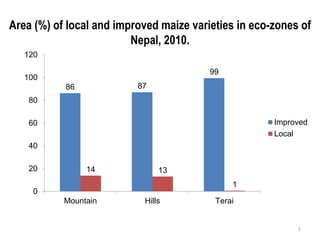 Area (%) of local and improved maize varieties in eco-zones of
                         Nepal, 2010.
   120

                                         99
   100
           86             87
    80

    60                                                Improved
                                                      Local
    40

    20          14             13
                                              1
     0
           Mountain        Hills          Terai


                                                           5
 