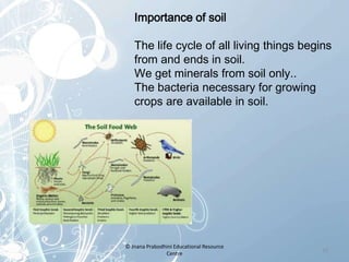 Importance of soil
The life cycle of all living things begins
from and ends in soil.
We get minerals from soil only..
The bacteria necessary for growing
crops are available in soil.
12
© Jnana Prabodhini Educational Resource
Centre
 