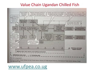 Value Chain Ugandan Chilled Fish
www.ufpea.co.ug
 