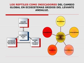 LOS REPTILES COMO INDICADORES DEL CAMBIO
GLOBAL EN ECOSISTEMAS ÁRIDOS DEL LEVANTE
ANDALUZ.
SISTEMA DE
INDICADORES
BIOLOGICOS
SISTEMA DE
INDICADORES
BIOLOGICOS
SISTEMA
DE
VIGILANCIA
Y ALERTA
SISTEMA
DE
VIGILANCIA
Y ALERTA
ANALISIS
SENSIBILIDAD
ANALISIS
SENSIBILIDAD
VALORACION
ACTUAL
ICG
VALORACION
ACTUAL
ICG
Adaptabilidad
Exposición Incertidumbre
Vulnerabilidad
Sensibilidad
Necesidades
de
Investigación
 