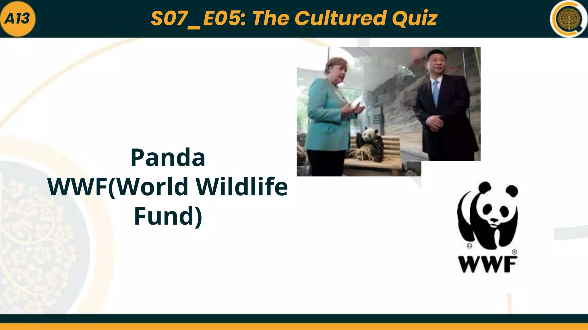 A13
Panda
WWF(World Wildlife
Fund)
S07_E05: The Cultured Quiz
 