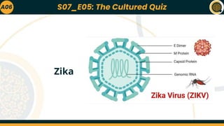 A06
Zika
S07_E05: The Cultured Quiz
 