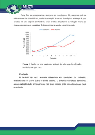 Outro fato que comprometeu a execução do experimento, foi a estrutura, pois na
sexta semana ela foi danificada, sendo interrompida a entrada de oxigênio no tanque 1, que
resultou em uma segunda mortalidade. Estes eventos dificultaram à avaliação precisa do
sistema, assim como, a capacidade desta espécie de se adaptar a esta tecnologia.
Figura 1. Ganho em peso médio dos lambaris do rabo amarelo cultivados
em biofloco e água clara.
Conclusão
O lambari do rabo amarelo sobreviveu em condições de bioflocos,
demostrando ser viável cultiva-lo neste sistema. O sistema de biofloco demostrou
grande aplicabilidade, principalmente nas fases iniciais, onde se pode adensar mais
os animais.
0,00
1,00
2,00
3,00
4,00
5,00
6,00
7,00
8,00
9,00
10,00
11,00
0 1 2 3 4 5 6 7 8 9 10 11
Peso
médio
(g)
Semanas
água clara Biofloco
 
