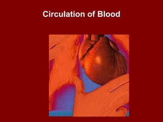 Circulation of Blood
 