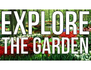 EXPLORE
THE GARDEN
EXPLORE
THE GARDEN
 