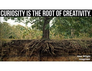 Curiosity is the root of creativity.
Alex Wright
Imagineer
 