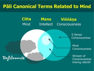 Pāli Canonical Terms Related to Mind

         Citta    Mano         Viññāṇa
         Mind    Intellect   Consciousness


                                    5 Sense
                                    Consciousness


                                     Mind
                                     Consciousness

                                     Stream of
Defilements                          Consciousness
                                     linking rebirth
 