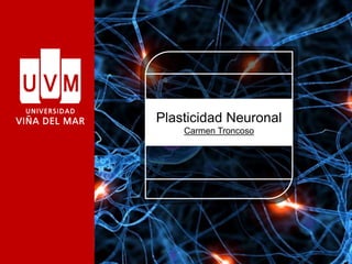 Plasticidad Neuronal
Carmen Troncoso
 