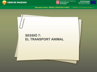 SESSIÓ 7:  EL TRANSPORT ANIMAL  