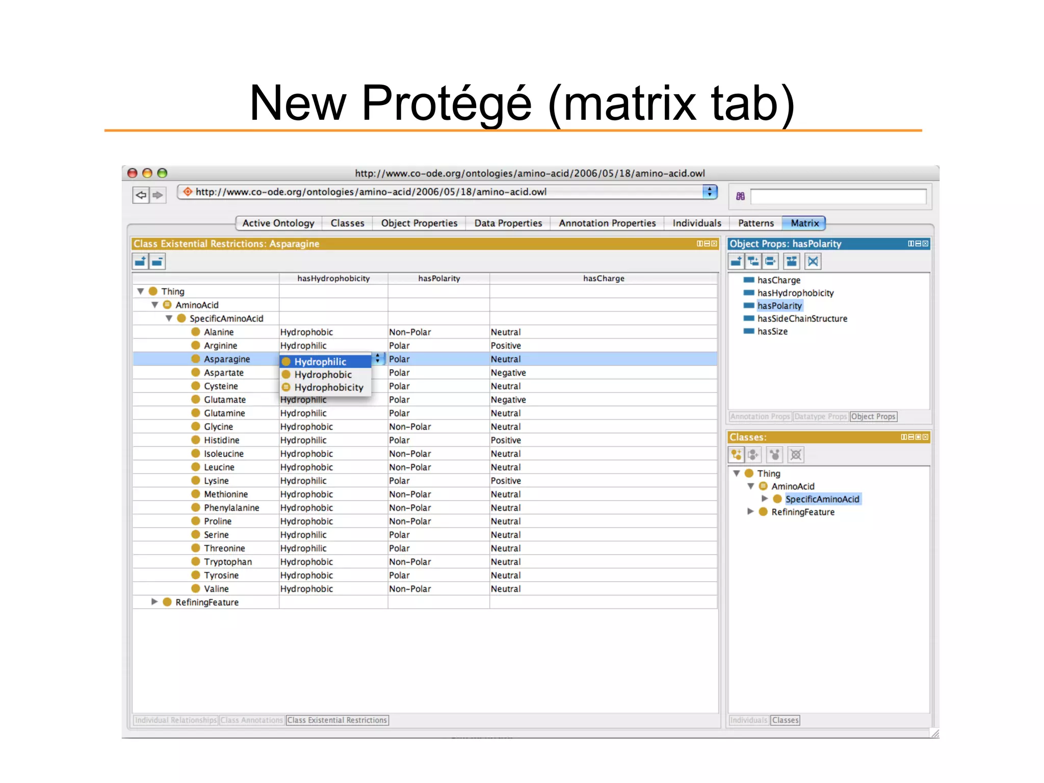 New Protégé (matrix tab)
 
