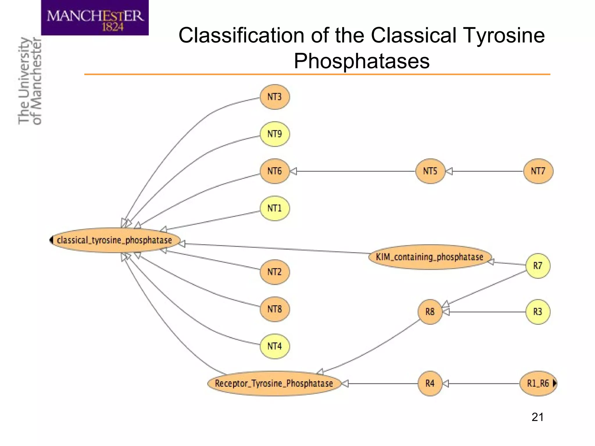 21
Classification of the Classical Tyrosine
Phosphatases
 