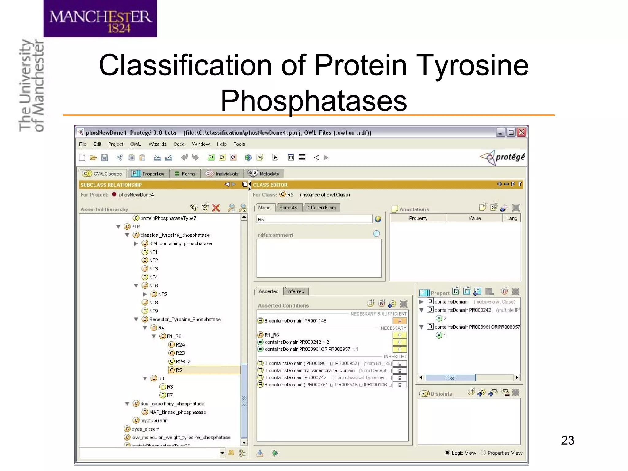 23
Classification of Protein Tyrosine
Phosphatases
 