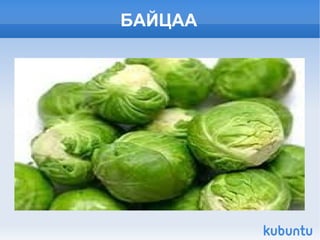 БАЙЦАА 