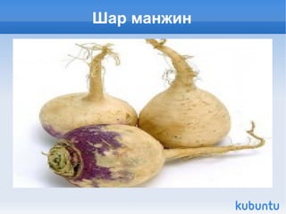 Шар манжин 
