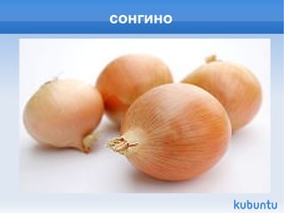сонгино 