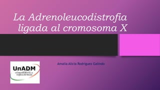 La Adrenoleucodistrofia
ligada al cromosoma X
Amalia Alicia Rodríguez Galindo
 