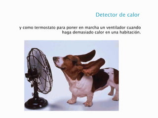 Detector de calor
y como termostato para poner en marcha un ventilador cuando
haga demasiado calor en una habitación.
 