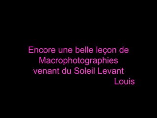 Encore une belle le?on de
  Macrophotographies
 venant du Soleil Levant
                      Louis
 