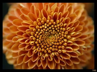 7/65
 