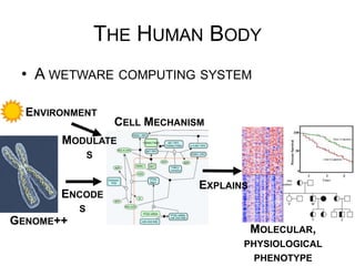 GENOME++
MOLECULAR, PHYSIOLOGICAL
PHENOTYPE
ENCODES
EXPLAINS
ENVIRONMENT
CELL MECHANISM
THE HUMAN BODY
•  A WETWARE COMPUTING SYSTEM
MODULATES
 