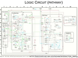 LOGIC CIRCUIT (PATHWAY)
HTTP://DISCOVER.NCI.NIH.GOV/KOHNK/INTERACTION_MAPS.HTML
 