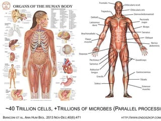 HTTP://WWW.ENDOSZKOP.COM/
~40 TRILLION CELLS, +TRILLIONS OF MICROBES (PARALLEL PROCESSING)
BIANCONI ET AL. ANN HUM BIOL. 2013 NOV-DEC;40(6):471
 