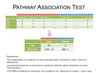DESCRIPTION:
• THE SIGNIFICANCE OF A GENE-SET IS THEN ASSESSED USING THE FISHER S EXACT TEST FOR ASSOCIATION
• A SIGNIFICANT GENE-SET IS AFFECTED BY A MUTATION POTENTIAL MORE FREQUENTLY IN CASES THAN
CONTROLS
• THE FDR IS ESTIMATED BY SHUFFLING THE COLUMNS IN THE GENE-SET BY PATIENT COUNT TABLE
Case	
   Control	
  
GSi	
   13	
   1	
  
Not	
  in	
  GSi	
   1146	
  -­‐	
  13	
   889	
  -­‐	
  1	
  
PaJent	
  #1	
   PaJent	
  #2	
   PaJent	
  #3	
   …	
   PaJent	
  #i	
   …	
   PaJent	
  #n	
  
GS1	
   1	
   1	
   1	
   …	
   0	
   …	
   0	
  
GS2	
   0	
   0	
   1	
   …	
   1	
   …	
   0	
  
GS3	
   0	
   0	
   0	
   …	
   0	
   …	
   0	
  
PATHWAY ASSOCIATION TEST
 