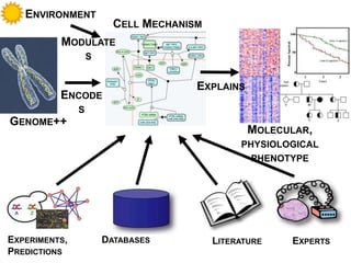 DATABASESEXPERIMENTS,
PREDICTIONS
LITERATURE EXPERTS
GENOME++
MOLECULAR, PHYSIOLOGICAL
PHENOTYPE
ENCODES
EXPLAINS
ENVIRONMENT
CELL MECHANISM
MODULATES
 