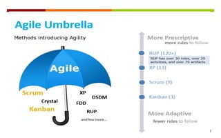 Copyright © 2013-2015 ScrumArabia. Portions used with permission. All rights reserved 13
Agile methods: https://en.wikipedia.org/wiki/Agile_software_development
 
