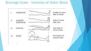 Bromage Scale – Intensity of Motor Block
 