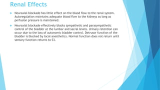 Renal Effects
 Neuraxial blockade has little effect on the blood flow to the renal system.
Autoregulation maintains adequate blood flow to the kidneys as long as
perfusion pressure is maintained.
 Neuraxial blockade effectively blocks sympathetic and parasympathetic
control of the bladder at the lumbar and sacral levels. Urinary retention can
occur due to the loss of autonomic bladder control. Detrusor function of the
bladder is blocked by local anesthetics. Normal function does not return until
sensory function returns to S3.
 