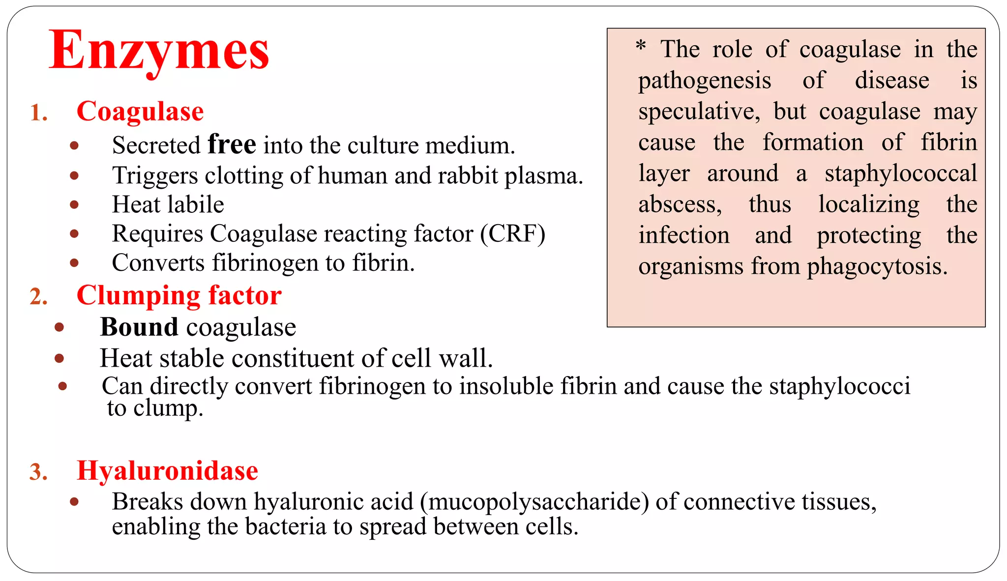 Enzymes
16
1. Coagulase
 Secreted free into the culture medium.
 Triggers clotting of human and rabbit plasma.
 Heat labile
 Requires Coagulase reacting factor (CRF)
 Converts fibrinogen to fibrin.
2. Clumping factor
 Bound coagulase
 Heat stable constituent of cell wall.
 Can directly convert fibrinogen to insoluble fibrin and cause the staphylococci
to clump.
3. Hyaluronidase
 Breaks down hyaluronic acid (mucopolysaccharide) of connective tissues,
enabling the bacteria to spread between cells.
* The role of coagulase in the
pathogenesis of disease is
speculative, but coagulase may
cause the formation of fibrin
layer around a staphylococcal
abscess, thus localizing the
infection and protecting the
organisms from phagocytosis.
 